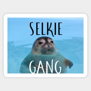 selkie gang Sticker